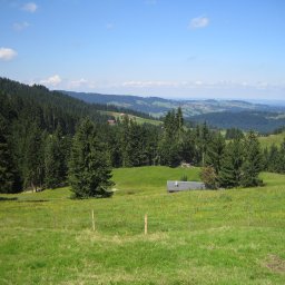 IMG_0394.JPG