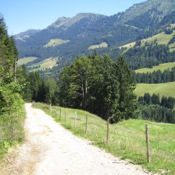 IMG_0420.JPG