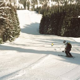 030_9.jpg