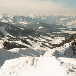 032_11.jpg