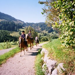 Reiten