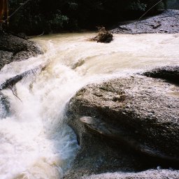 Wildwasser