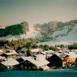 steibis-winter.jpg