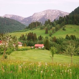 Hochgrat