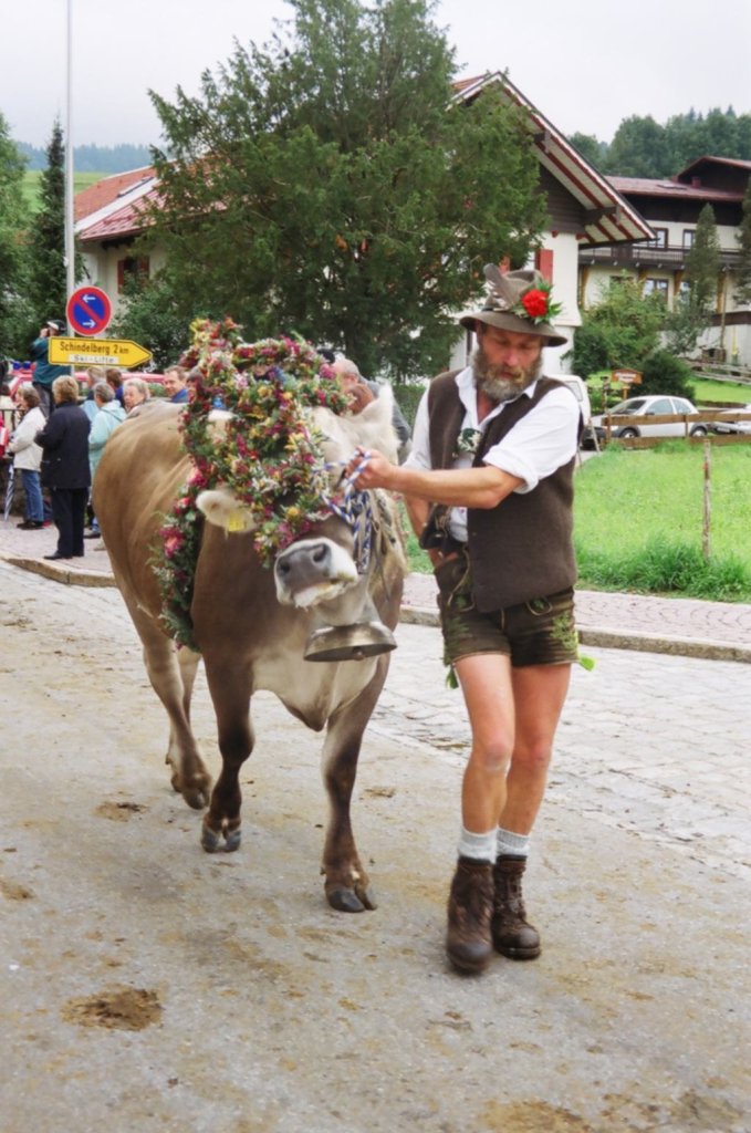Almabtrieb