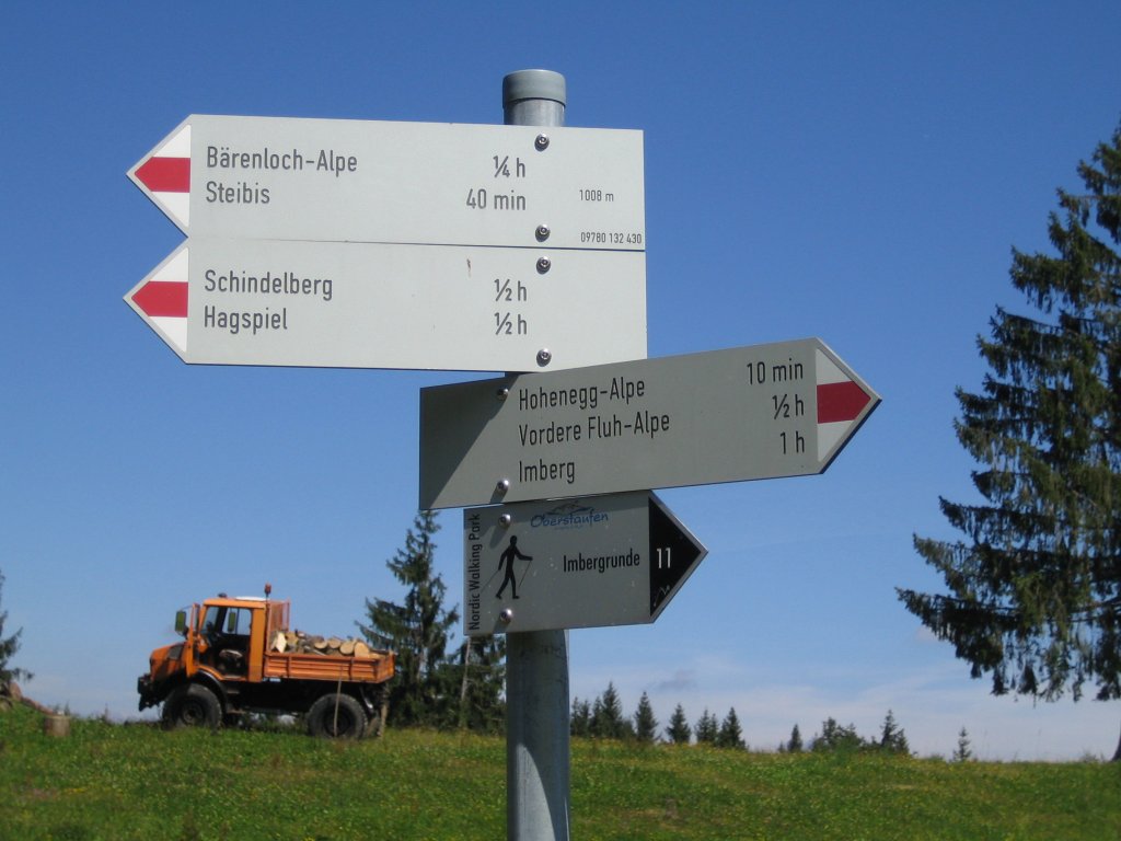 Weiter zur Hohenegg-Alpe