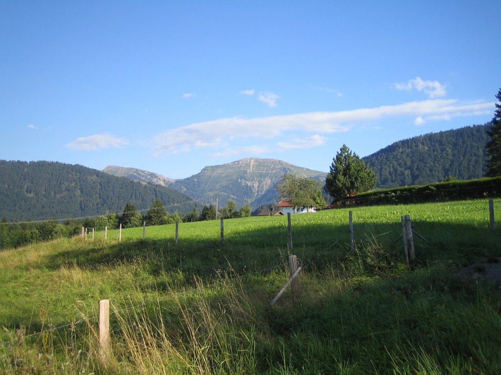 IMG_0503.JPG