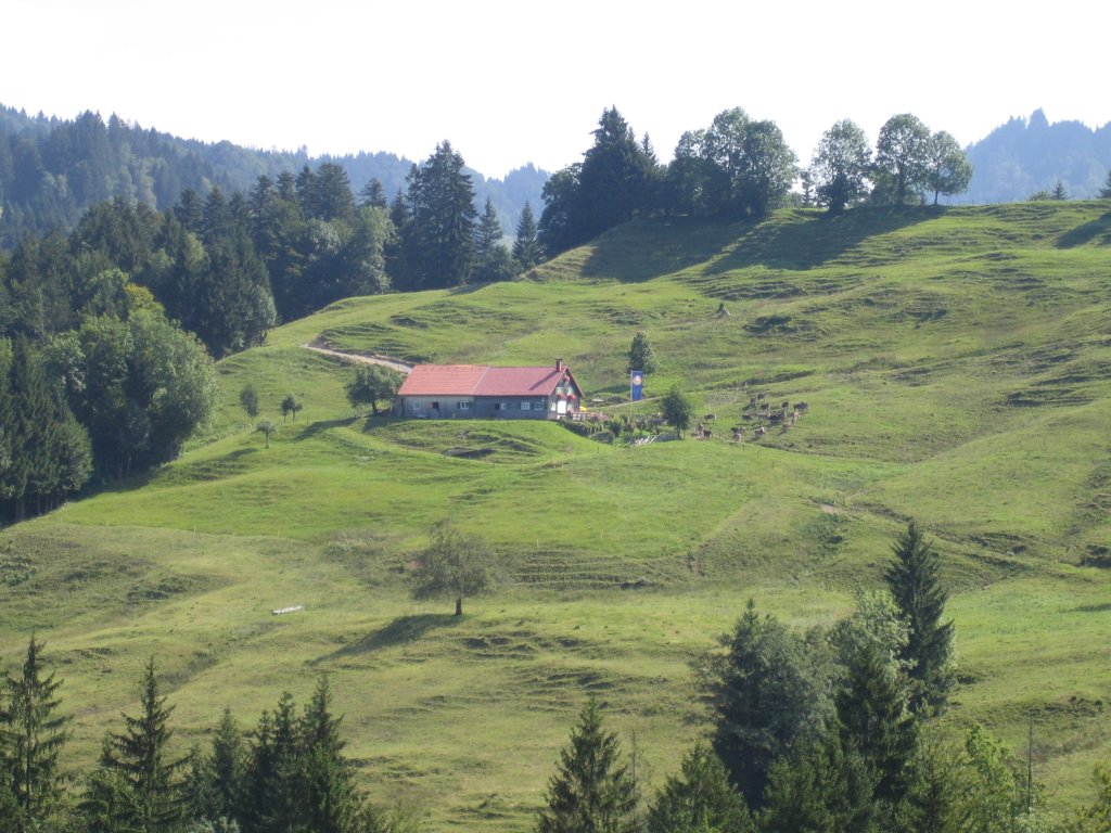 IMG_0517.JPG