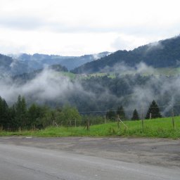 IMG_0344.JPG