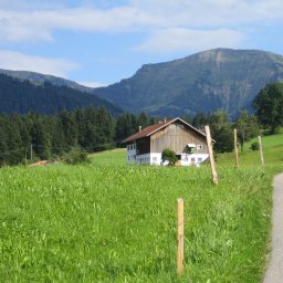 Blick zum Hochgrat